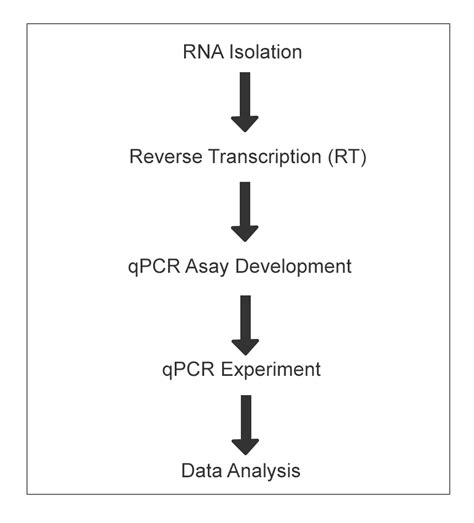 how to isolate mrna from cells|Gene Expression Is Analyzed by Tracking RNA .